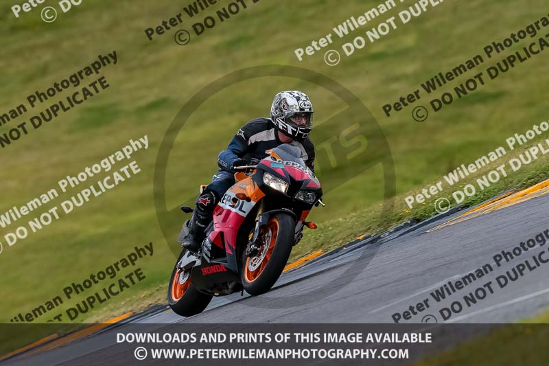 PJ Motorsport 2019;anglesey no limits trackday;anglesey photographs;anglesey trackday photographs;enduro digital images;event digital images;eventdigitalimages;no limits trackdays;peter wileman photography;racing digital images;trac mon;trackday digital images;trackday photos;ty croes